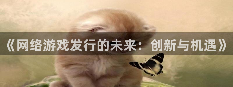 bbin视讯官网挂机项目怎么样可靠吗：《网络游戏发行的未来：创新与机遇》