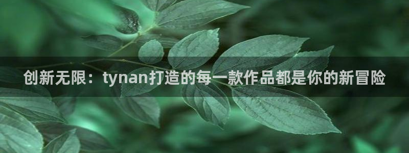 bbin视讯官网是赌博么：创新无限：tynan打造的每一款作品都是你的新冒险