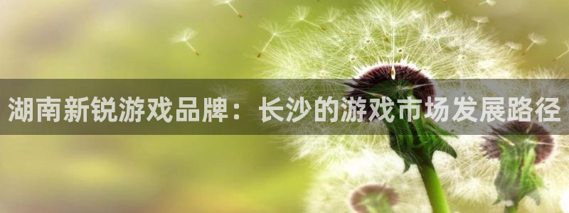 佛山bbin视讯：湖南新锐游戏品牌：长沙的游戏市场发展路径