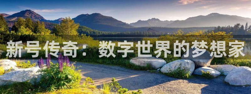 bbin视讯官网平台代理开号：新号传奇：数字世界的梦想家