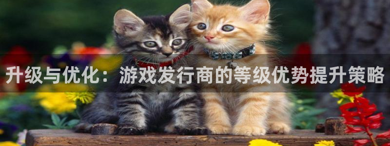 bbin视讯gs