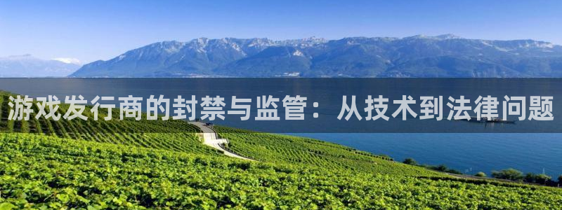 bbin视讯是什么：游戏发行商的封禁与监管：从技术到法律问题
