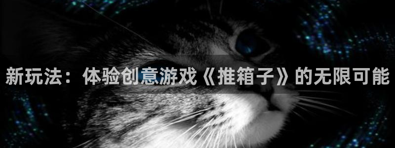 bbin视讯官网注册平台是什么意思：新玩法：体验创意游戏《推箱子》的无限可能