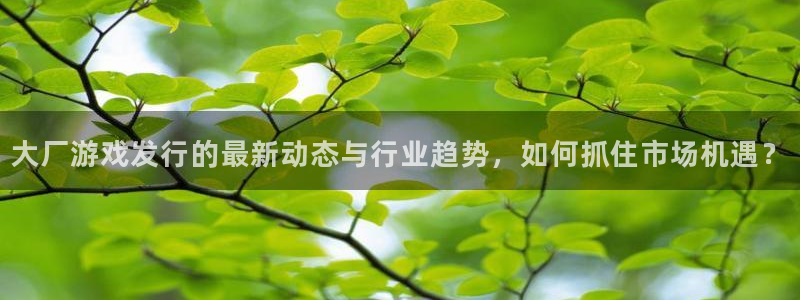 bbin视讯官网注册地址查询官网：大厂游戏发行的最新动态与行业趋势，如何抓住市场机遇？