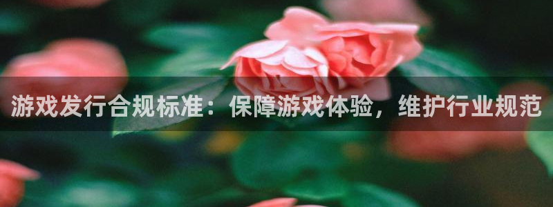 bbin视讯工坊
