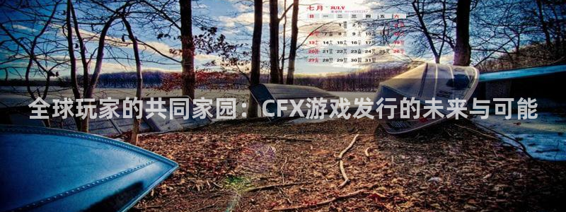 bbin视讯官网代理开号多少钱：全球玩家的共同家园：CFX游戏发行的未来与可能