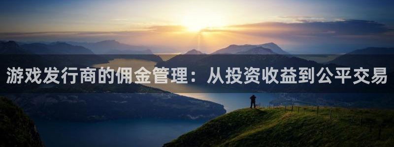 广州bbin视讯运动服：游戏发行商的佣金管理：从投资收益到公平交易