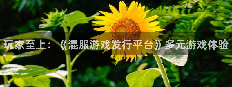 我要看bbin视讯：玩家至上：《混服游戏发行平台》多元游戏体验