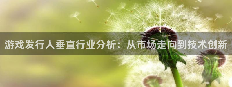 bbin视讯男装品牌：游戏发行人垂直行业分析：从市场走向到技术创新