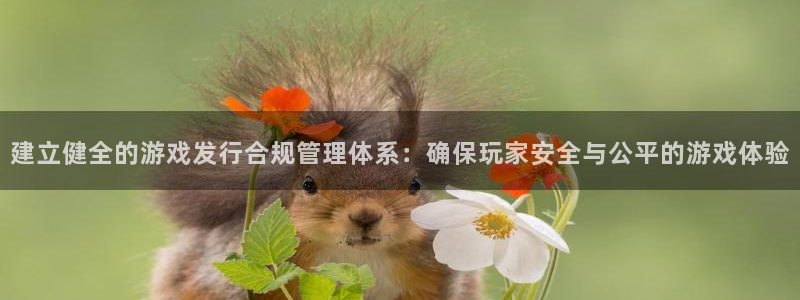 bbin视讯电子商务有限公司地址：建立健全的游戏发行合规管理体系：确保玩家安全与公平的游戏体验