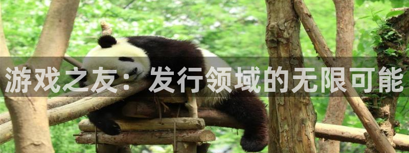 bbin视讯官网平台代理开号怎么开：游戏之友：发行领域的无限可能