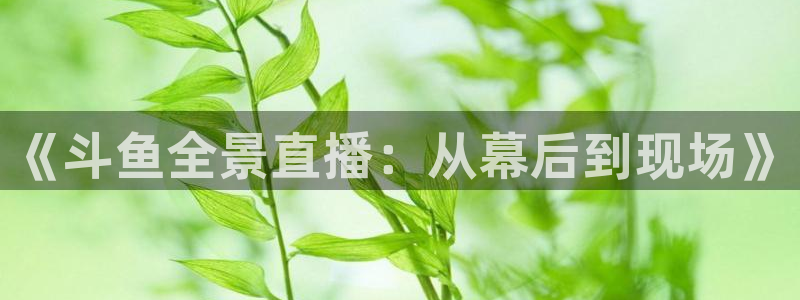 蜘蛛体育免费：《斗鱼全景直播：从幕后到现场》