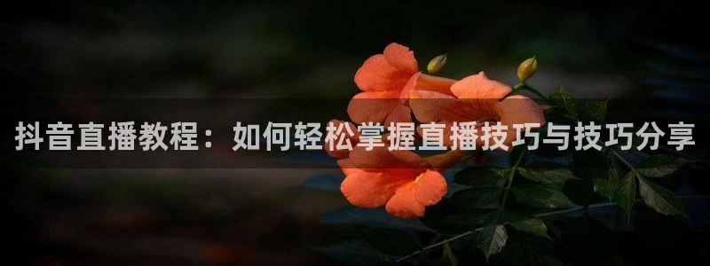 蜘蛛直播nba免费：抖音直播教程：如何轻松掌握直播技巧与技巧分享