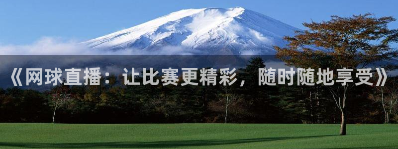 蜘蛛体育nba直播入口：《网球直播：让比赛更精彩，随时随地享受》