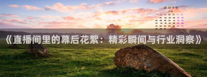 蜘蛛直播 nba：《直播间里的幕后花絮：精彩瞬间与行业洞察》