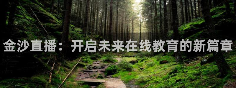 蜘蛛直播体育篮球：金沙直播：开启未来在线教育的新篇章