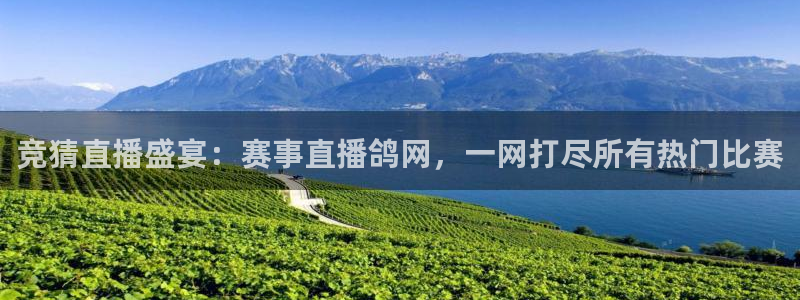 蜘蛛体育免费直播在线观看：竞猜直播盛宴：赛事直播鸽网，一网打尽所有热门比赛