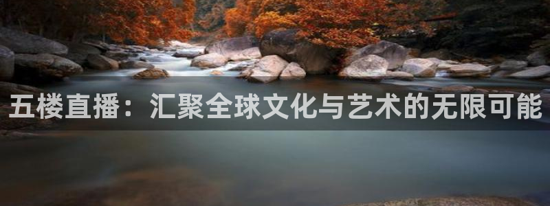 蜘蛛直播体育免费直播：五楼直播：汇聚全球文化与艺术的无限可能