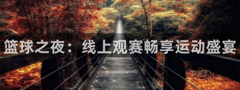 nba直播蜘蛛直播：篮球之夜：线上观赛畅享运动盛宴